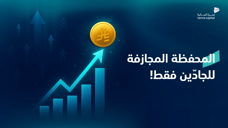 المحفظة المجازفة